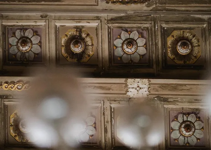 Leone Blu | Esperienze