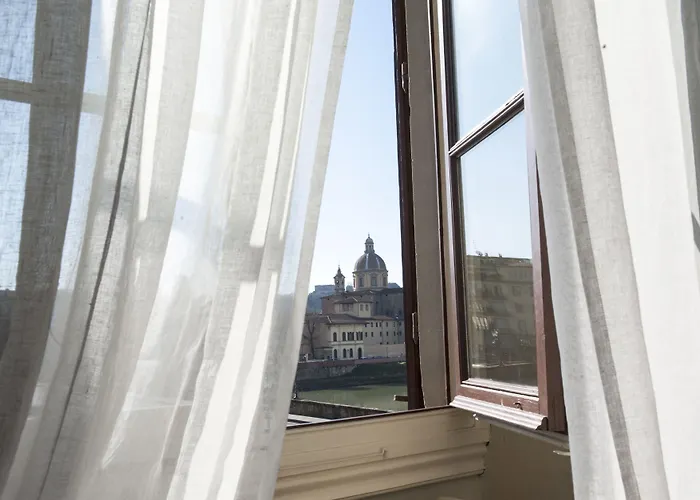 Leone Blu | Esperienze