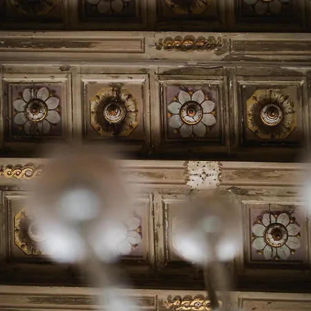 Leone Blu | Esperienze